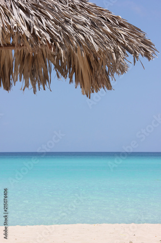 Photography Dry palm leaves as an umbrella near turquoise sea