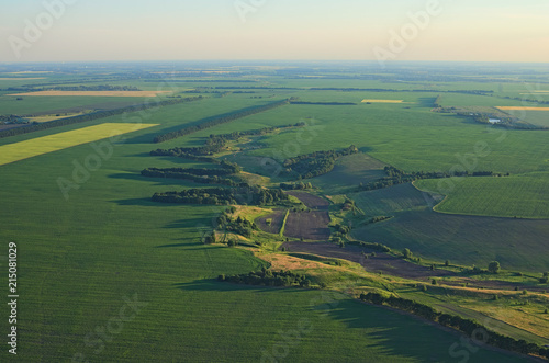 Aerial view over the agricultural fields on a sunny summer day. Kyiv region, Ukraine © evgenij84