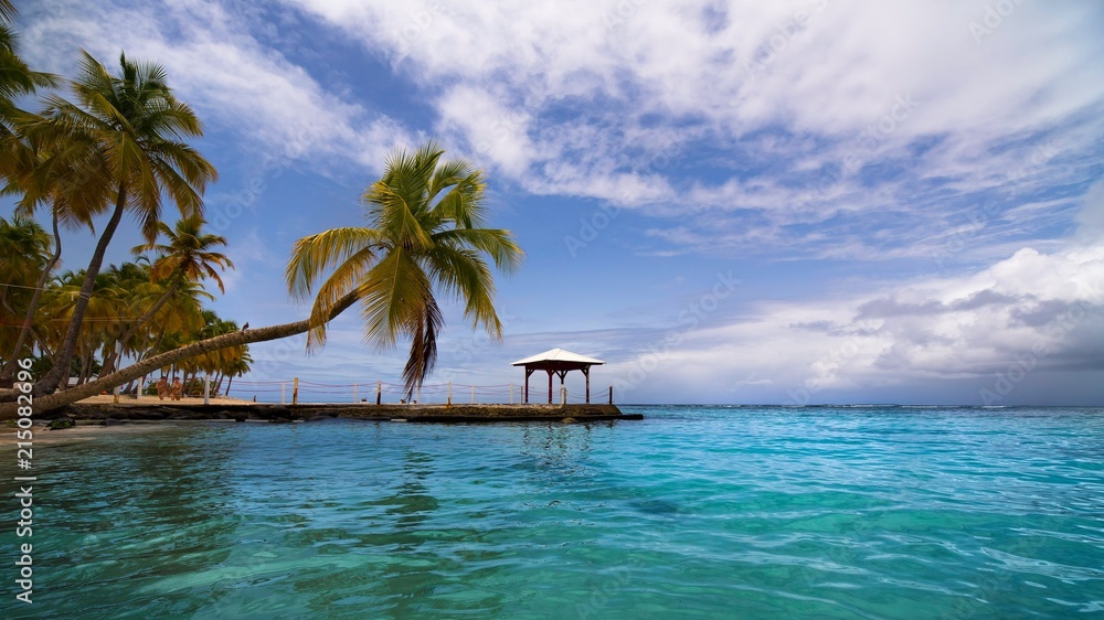 beach in the caribbean with turquoise water and palm trees