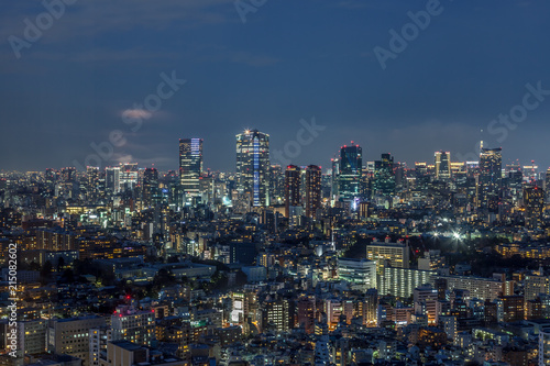 東京　夜景 © Faula Photo Works