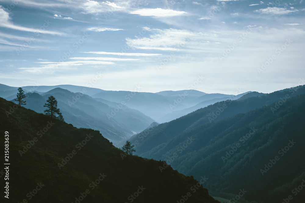 Morning mist above valley between silhouettes of mountain slopes on horizon in backlighting. Blue glow in cloudy sky. Forest on mountainside. Atmospheric mountain landscape of majestic nature.