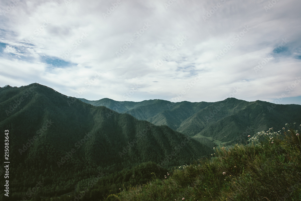 Fototapeta premium Flowers is surround grass on mountainside on background of mountains with forest under cloudy sky. View from top on mystical terrain. Atmospheric tranquil landscape of majestic wild nature in green.