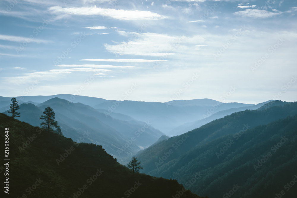 Morning mist above valley between silhouettes of mountain slopes on horizon in backlighting. Blue glow in cloudy sky. Forest on mountainside. Atmospheric mountain landscape of majestic nature. Morning mist above valley between silhouettes of mountain slopes on horizon in backlighting. Blue glow in cloudy sky. Forest on mountainside. Atmospheric mountain landscape of majestic nature.