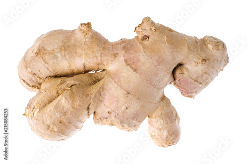 Whole root of fresh ginger