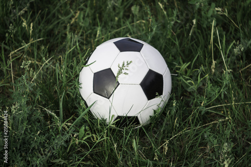 football ball on the green grass © Julia Snow