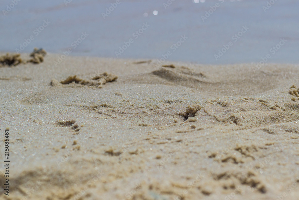 Footprints in the sand on the beach