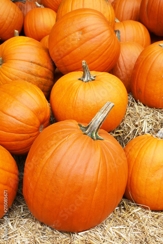 A collection of orange pumpkins lie on straw at an autumn market in Switzerland