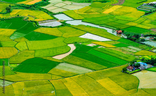 amazing landscape rice field on Bac Son, Viet Nam, above rice terraces in a beautiful day rice field on Bac Son, Viet Nam photo