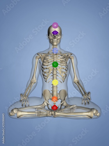 Chakras, 3D Human Model