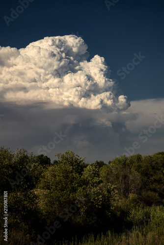 A Pyrocumulus cloud rises over the Cranston Fire in Idyllwild, California on July 25, 2018