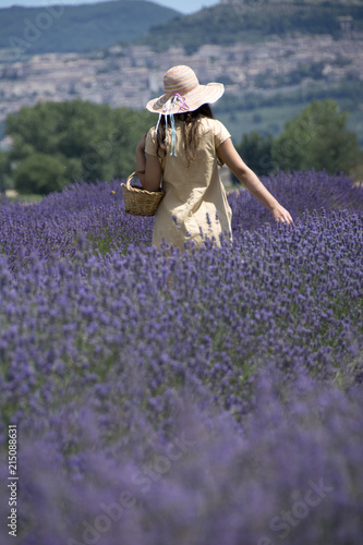 Fototapeta Naklejka Na Ścianę i Meble -  Lavandeto