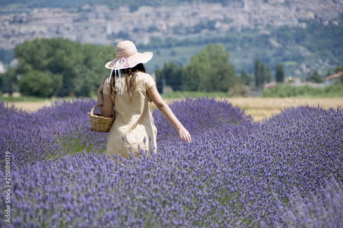 Fototapeta Naklejka Na Ścianę i Meble -  Lavandeto