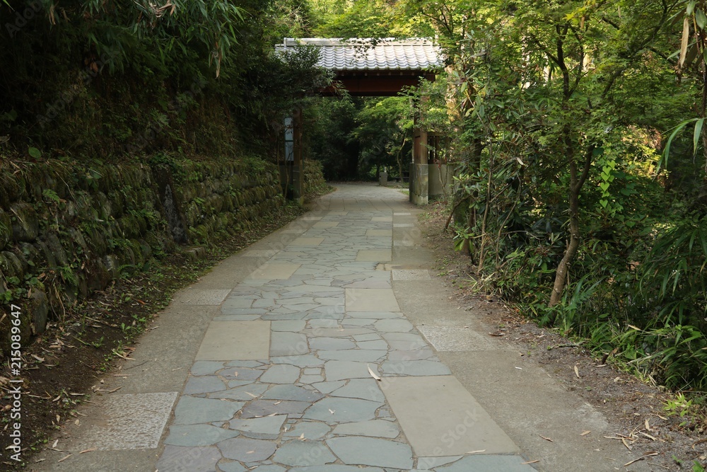 石畳の通路がある白川水源の風景