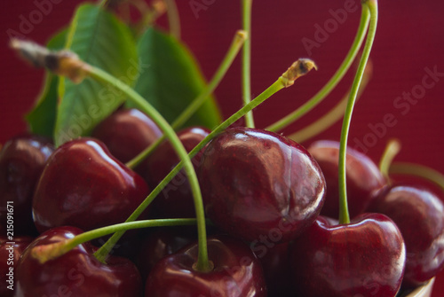 Foreground of ripe and red cherries with petioles photo