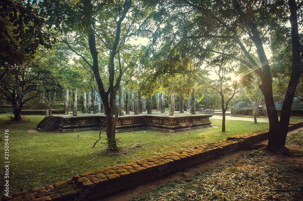 Fototapeta premium Abandoned temple of Buddha in ancient city Polonnaruwa. Forest with 12th century columns, Sri Lanka. UNESCO World heritage Site