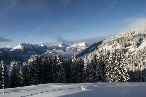 Morgenstimmung über dem Saanenland