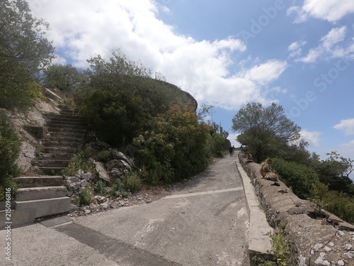 Rock of Gibraltar