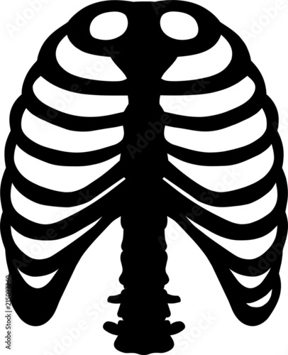 Ribs Skeleton