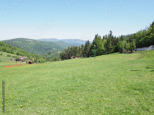 Exciting green grassy field and forest at Beskid Mountains range landscape at european Salmopol village, Poland photo