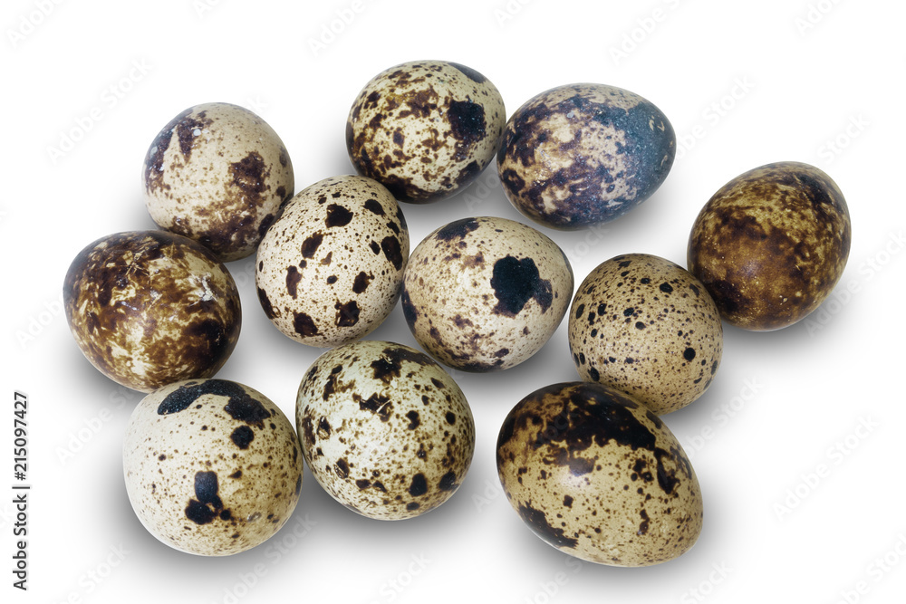 Close-Up Egg isolated studio shot. with clipping path on white Close-Up Egg isolated studio shot. with clipping path on white