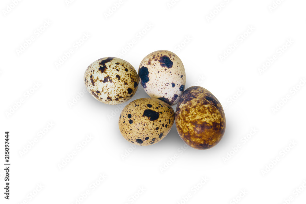 Close-Up Egg isolated studio shot. with clipping path on white