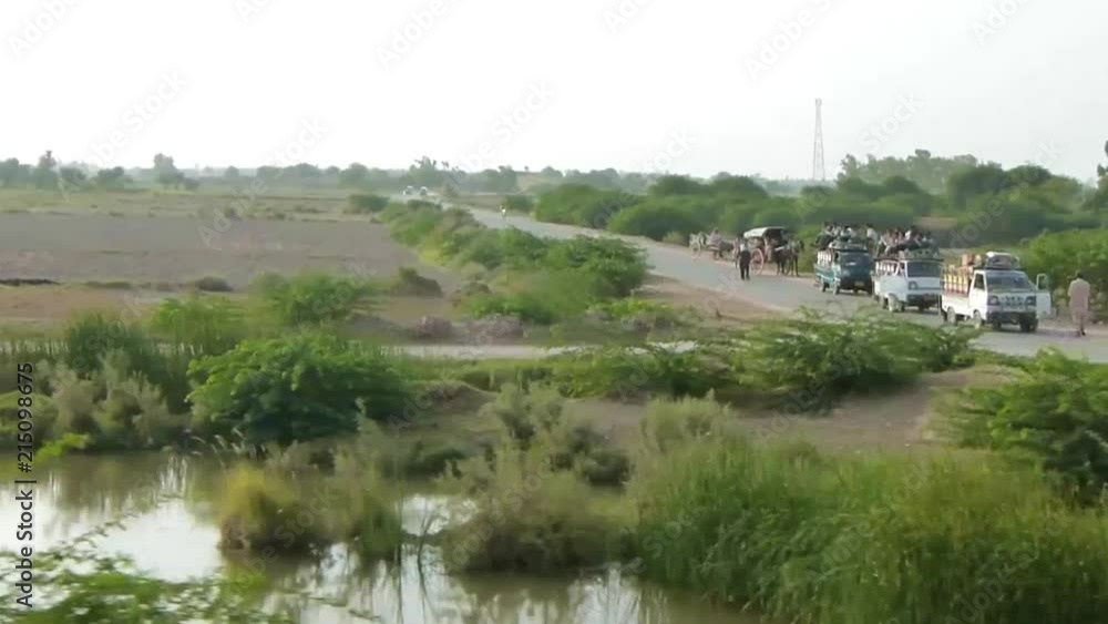 Driving Past Fields Of Flora Near People - Slide - Left To Right Driving Past Fields Of Flora Near People - Slide - Left To Right