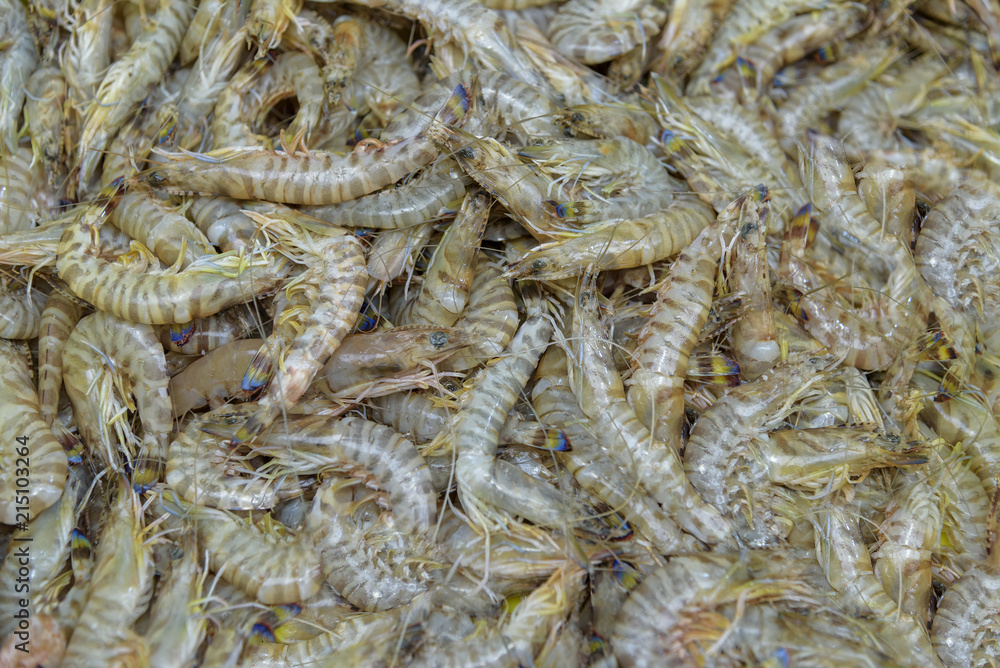 Fresh prawns lie on the cold ice. Seafood market in Israel. Fresh seafood Fresh prawns lie on the cold ice. Seafood market in Israel. Fresh seafood