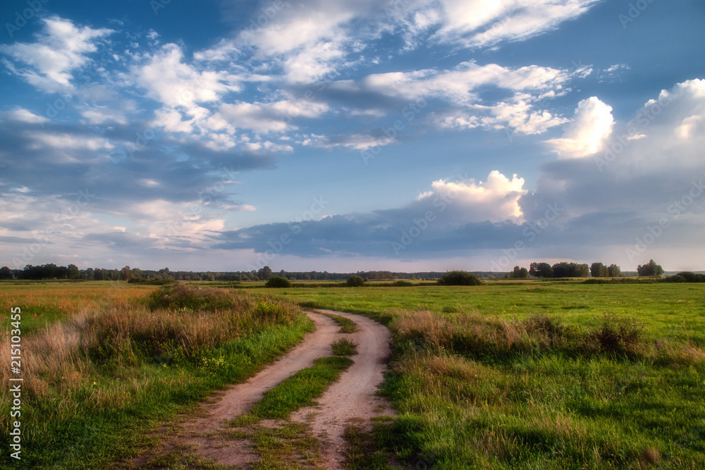 Obraz premium Lato nad łąkami