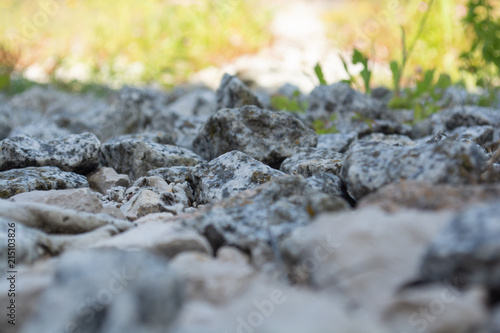Stone Path