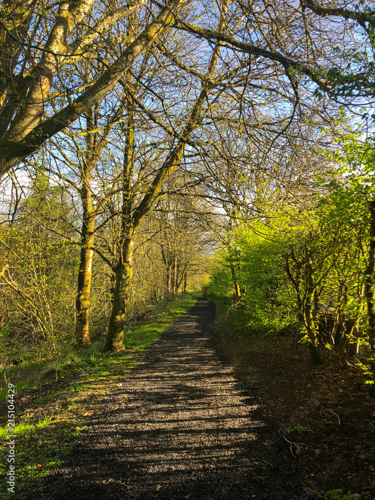 Fototapeta premium Nature path