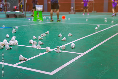 badminton shuttlecock with white line on green court