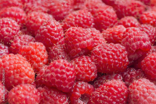 Fresh and sweet raspberries background. Fresh organic berries. Fruit concept photo