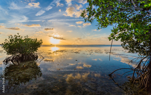 Valokuvatapetti Colorful sky reflected in water of mangrove lagoon.