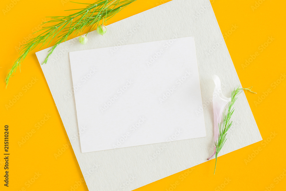 White blank greeting card. Fresh, green plants on the yellow background.  Empty place for inspirational, emotional, sentimental text or quote. Stock  Photo | Adobe Stock