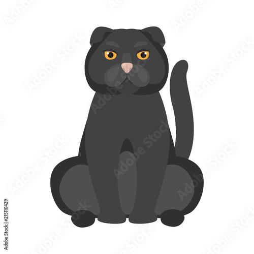 British breed cat color icon. Flat design
