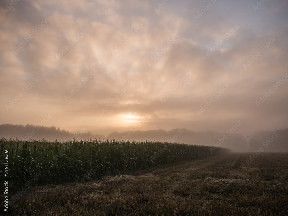 sonnenaufgang