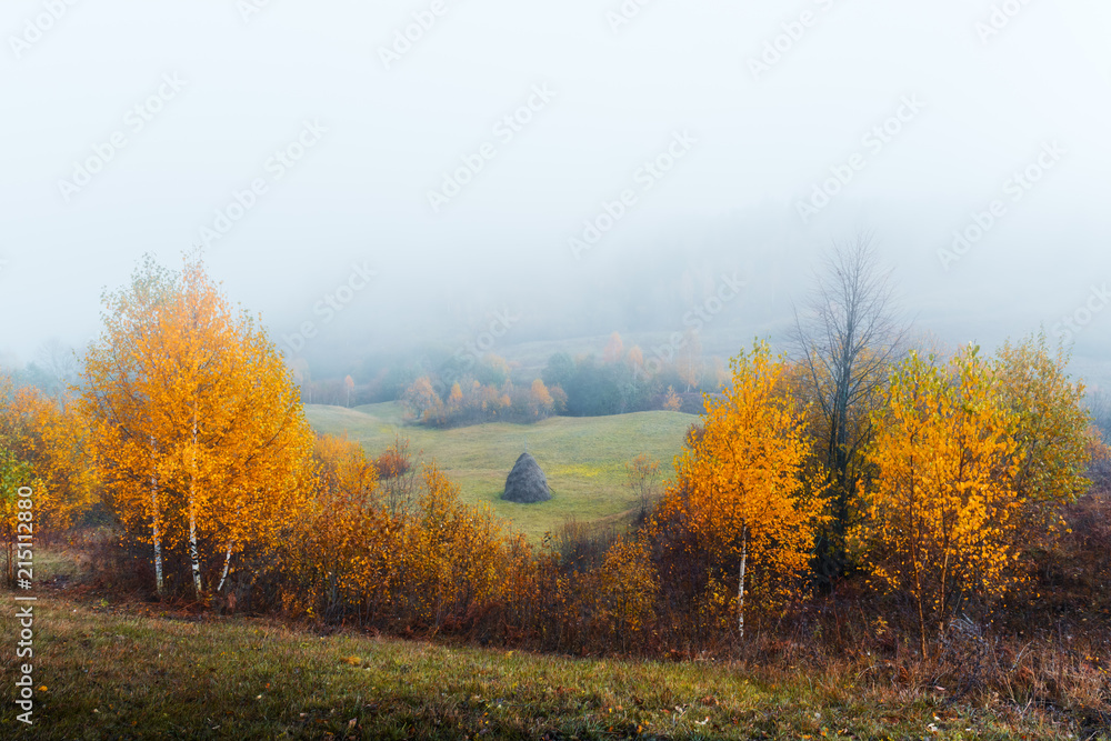 Amazing scene on autumn mountains. Yellow and orange trees in fantastic morning sunlight. Carpathians, Europe. Landscape photography