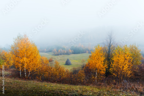 Amazing scene on autumn mountains. Yellow and orange trees in fantastic morning sunlight. Carpathians  Europe. Landscape photography