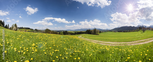 Panorama Landschaft mit Feldweg durch Frühlingswiese und Sonnenstrahlen