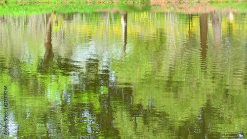 abstract colorful of tree reflection on the water © sema_srinouljan