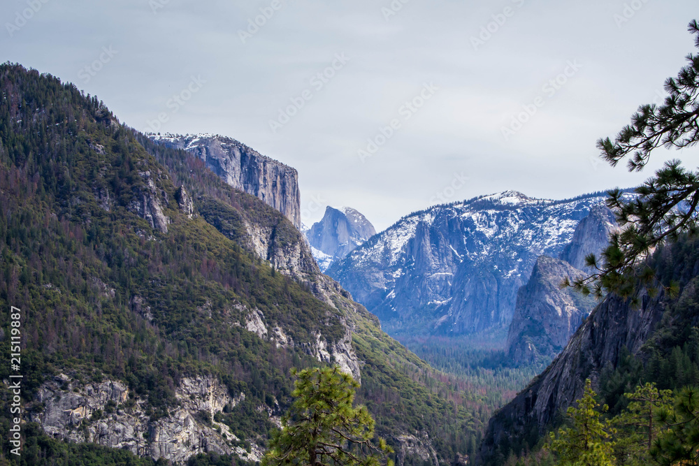 El Capitan by a meadow