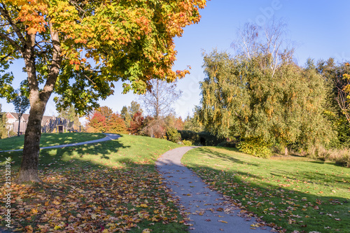 Path in an autumn city park with trees, fallen leaves