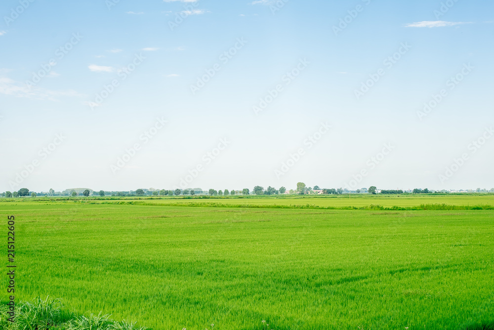 Vista di Paesaggio naturale, prato verde e cielo azzurro limpido