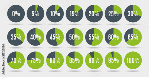 Set of colorful circle percentage diagrams for infographics, 0 5 10 15 20 25 30 35 40 45 50 55 60 65 70 75 80 85 90 95 100 percent. Vector illustration.