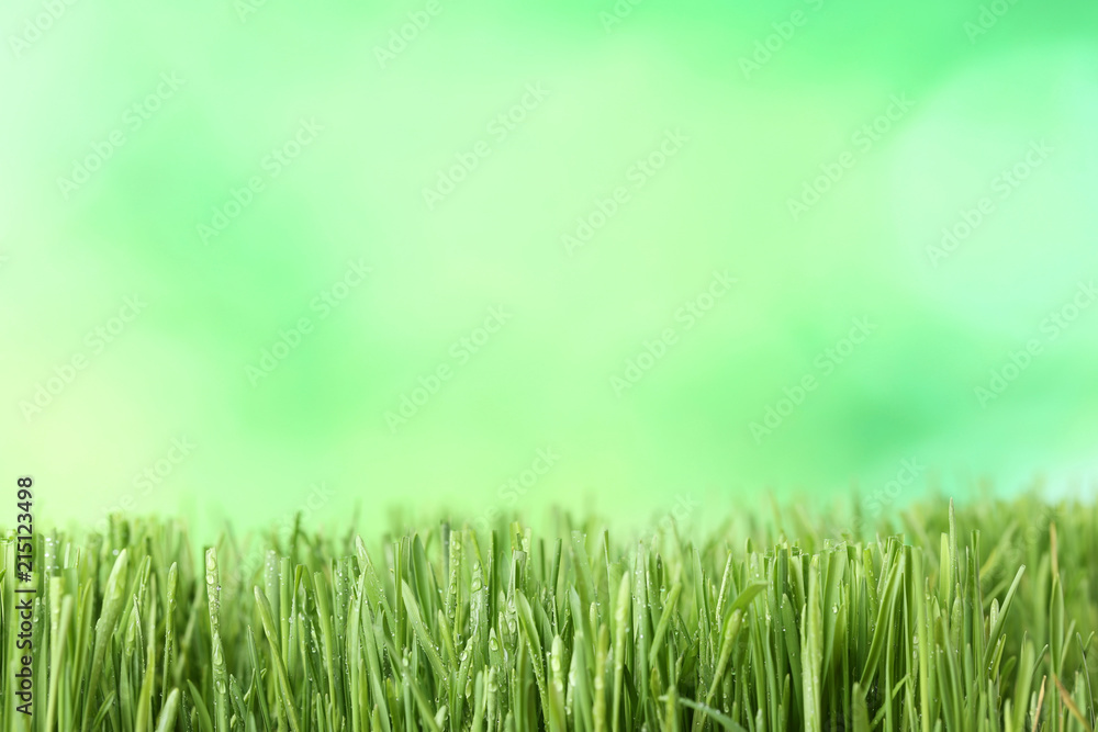 Green grass with water drops on blurred background Green grass with water drops on blurred background