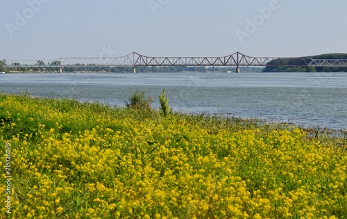 landscape of bridge and flowers
