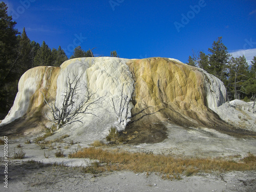 a geyser in the rocky mountains photo