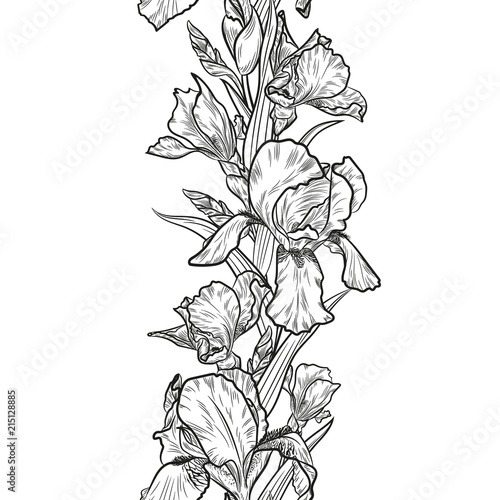 Seamless decorative border with outline iris flowers for floral design.
