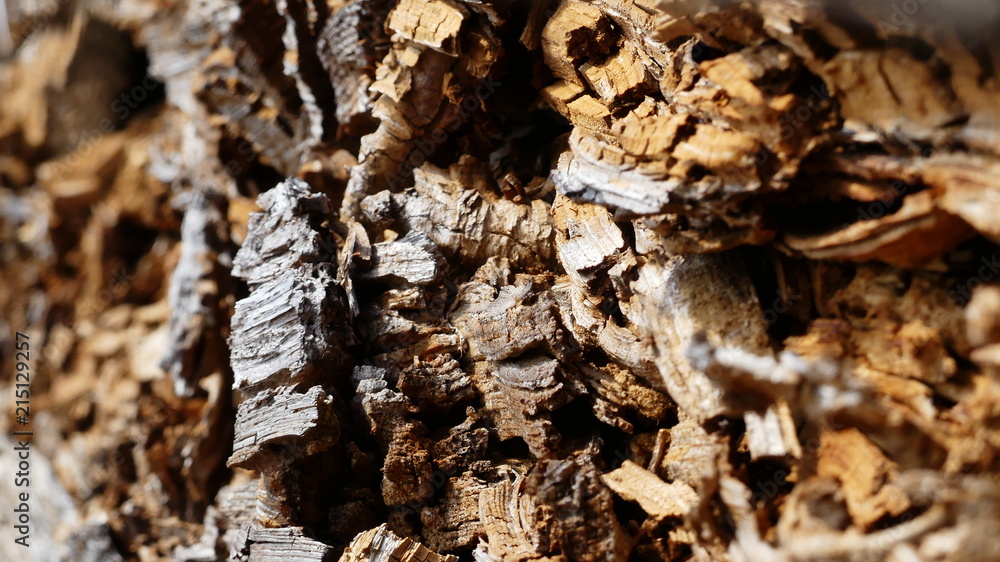 Holz Holz