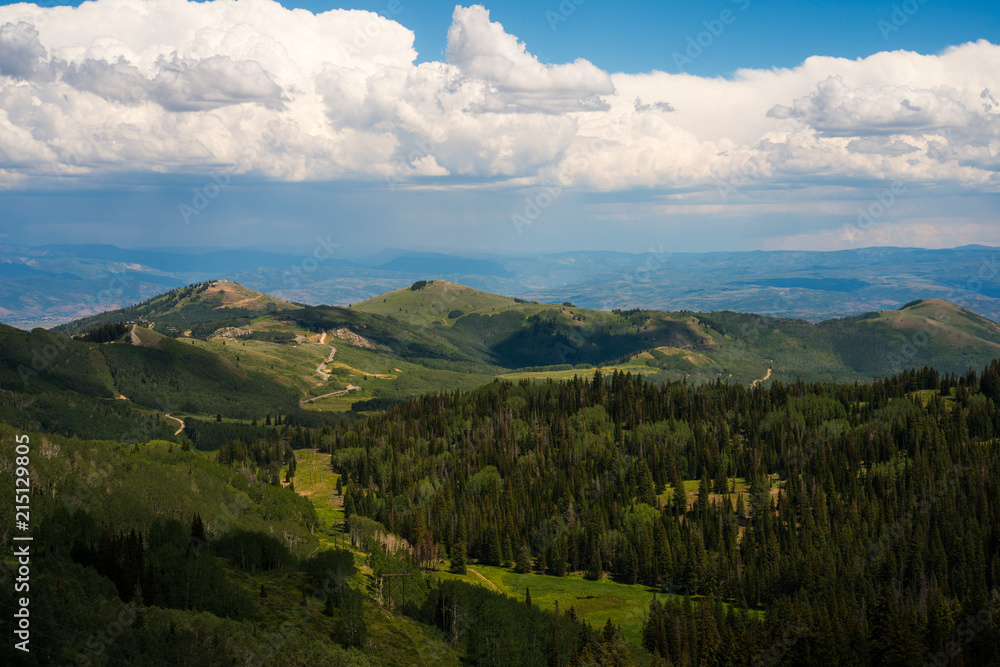 Naklejka premium Green pine forest and mountain range, Northern Utah